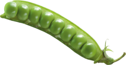 vegetables & Pea free transparent png image.