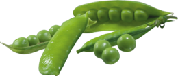 vegetables & Pea free transparent png image.