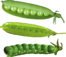 vegetables & Pea free transparent png image.