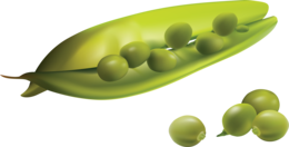 vegetables & Pea free transparent png image.