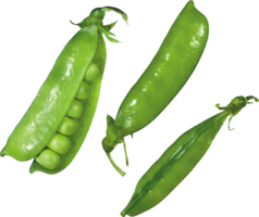 vegetables & Pea free transparent png image.