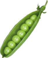 vegetables & pea free transparent png image.