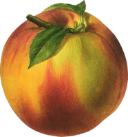 fruits & Peach free transparent png image.