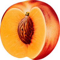 fruits & Peach free transparent png image.