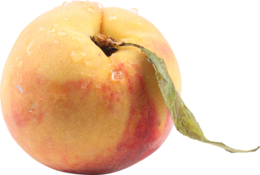 fruits & peach free transparent png image.