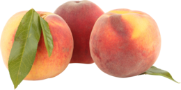 fruits & Peach free transparent png image.