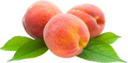 fruits & Peach free transparent png image.