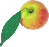 fruits & peach free transparent png image.