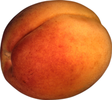 fruits & Peach free transparent png image.