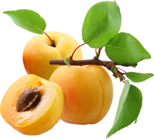 fruits & peach free transparent png image.