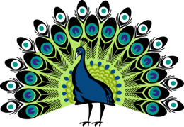 animals & Peacock free transparent png image.