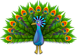 animals & peacock free transparent png image.