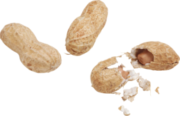 fruits & Peanut free transparent png image.