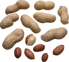 fruits & Peanut free transparent png image.