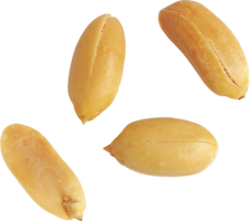 fruits & Peanut free transparent png image.