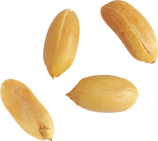 fruits & peanut free transparent png image.