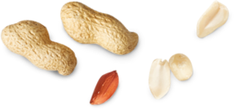 fruits & Peanut free transparent png image.