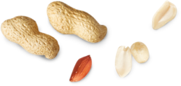 fruits & peanut free transparent png image.