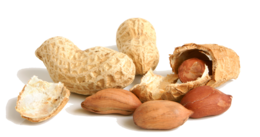 fruits & peanut free transparent png image.