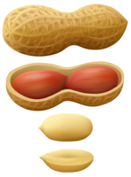 fruits & peanut free transparent png image.