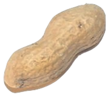 fruits & peanut free transparent png image.