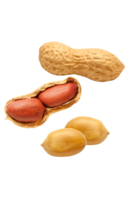 fruits & Peanut free transparent png image.