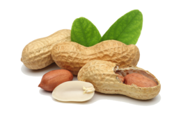 fruits & Peanut free transparent png image.