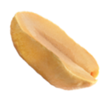 fruits & Peanut free transparent png image.