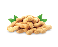 fruits & Peanut free transparent png image.