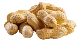 fruits & peanut free transparent png image.