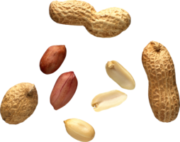 fruits & Peanut free transparent png image.