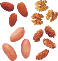 fruits & Peanut free transparent png image.