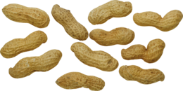 fruits & Peanut free transparent png image.