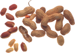 fruits & Peanut free transparent png image.