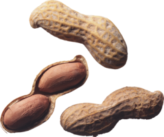 fruits & Peanut free transparent png image.