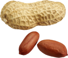 fruits & peanut free transparent png image.