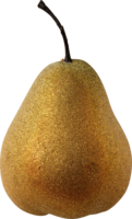 fruits & pear free transparent png image.