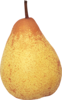 fruits & Pear free transparent png image.