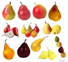 fruits & Pear free transparent png image.