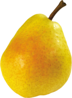 fruits & pear free transparent png image.