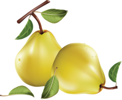 fruits & pear free transparent png image.