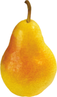 fruits & pear free transparent png image.