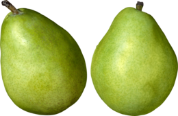 fruits & pear free transparent png image.