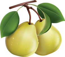 fruits & pear free transparent png image.