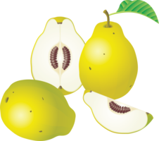 fruits & pear free transparent png image.