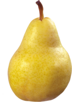 fruits & pear free transparent png image.