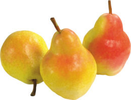 fruits & pear free transparent png image.