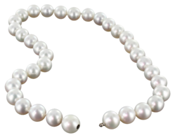 jewelry & Pearls free transparent png image.