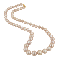 jewelry & Pearls free transparent png image.