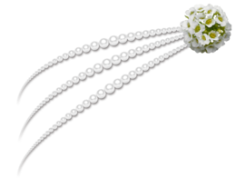 jewelry & Pearls free transparent png image.